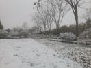 安徽多地降雪渐止  江南和大别山区有雨夹雪