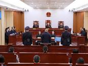 為何不認(rèn)定自首？量刑時(shí)有何考慮？法院解答“紅通人員”許國俊案相關(guān)問題
