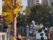 幼兒園保安為小朋友制造銀杏雨 網友：這一刻一下子愛上了幼兒園