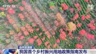 我國首個鄉村振興用地政策指南發布