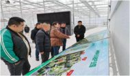懷寧石牌：組織參觀學習蔬菜種植技術
