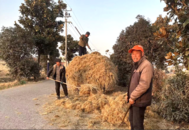 河溜鎮(zhèn)：秸稈“清零”縱深推進(jìn) 鞏固環(huán)境整治成果