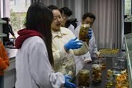 化枯燥實驗為趣味研習 安徽一所高校將工藝坊開到校園里