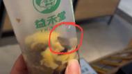 廣東陽江一奶茶店喝出多只活蟑螂？消費者索賠1000元，店家：有訛詐嫌疑