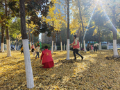 鼓樓街道大田拐社區：大手拉小手  護林河邊走