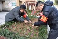 大觀區菱湖社區：在職黨員進社區 凝聚社區自治力量