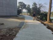 宜秀區白澤湖鄉黃石村：以道路硬化促人居環境提升 