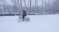 89歲院士雪天騎三輪車去實驗室，北科大：他為人低調，對科研堅持不懈