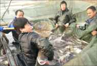 河溜鎮：多措激發鄉村治理動力