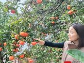 離職后退600多個工作群，裸辭女子已回鄉下老家