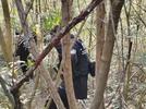 杀妻嫌犯李小龙疑潜逃至四川绵阳，当地警方展开地毯式搜捕