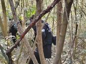 殺妻嫌犯李小龍疑潛逃至四川綿陽，當地警方展開地毯式搜捕