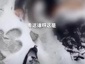 河南一男子雪地里死亡 警方回應：醉酒倒在路邊凍死