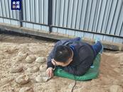 內部“閃閃發光”！湖北首次發現結晶恐龍蛋化石