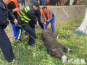 安徽劃定陸生野生動物禁獵期