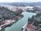 旌德：雪后野鸭觅食忙