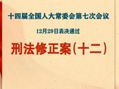 刑法修正案（十二）通過！有這些行賄情形，從重處罰