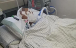 广东13岁男孩被同学打进ICU，亲属：是三个人打他，通报写的却是两个