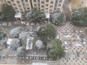 嘎嘎冷！安徽79個站點“觸冰” 17日淮河以北將低至-9℃