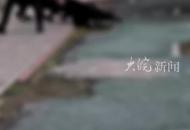 大黑狗小區咬傷一女子  湖南警方：接到報警 正在處理