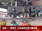 离奇死鱼多到渔船寸步难行，日本官员称与核污染水无关