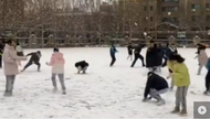 體育老師向班主任借課打雪仗 學(xué)生們瞬間沸騰