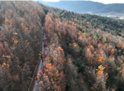 肥西縣銘傳鄉舉辦首屆職工登山運動會