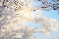 关峰：腊八，大雪落下