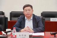 中央決定，朱碧新履新