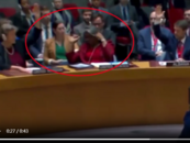 美国常驻联合国代表的手怎么了？高举后竟被同事按下去！