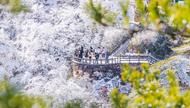 雪后黃山，云海翻騰宛若仙境