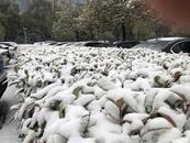 安徽天氣情況快報：全省有43個站出現積雪