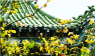 阜陽：雨雪將至，“王炸”級冷空氣也在逼近