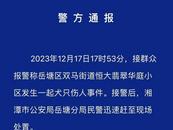 女子被德牧犬攻擊咬傷！湖南一地警方通報：狗主人已被傳喚