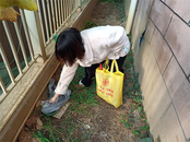 黃莊街道東方紅社區開展迎元旦環境衛生整治活動  