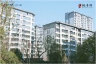 幸福兌現，悅然歸軒境|文一地產桃李軒A區二期盛大交付，共鑒歸家之旅！