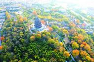 入眼成畫！巢湖市這里層林盡染