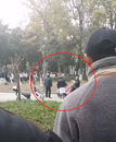 成都師范學(xué)院一男生校內(nèi)拳打女友？學(xué)校：警方介入，女生被母親接回家