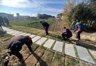宜秀區大橋街道象山村：志愿服務添助力 人居環境再提升