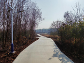 望城街道大石崗社區(qū)：鄉(xiāng)村振興路先行，修路便民惠人心
