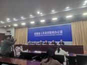 對安徽自貿區評估情況發布：以不到1‰面積貢獻近1/4進出口額
