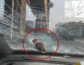 上海高架橋混凝土塊突然掉落，砸中行駛車輛 網友：太驚險了…