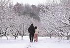 淮南：绝美雪景吸引市民拍照打卡
