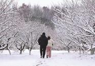 淮南：絕美雪景吸引市民拍照打卡