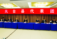 淮南：任澤鋒參加鳳臺縣代表團審議