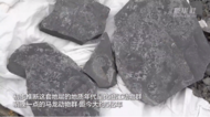 云南一工地發現約5億年前古生物化石