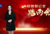 大皖數智記者跑兩會 | 2023年安徽各級法院依法向“失職父母”發出家庭教育令358份