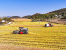 安徽2023年粮食加工业年产值预计突破3100亿元