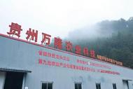 黔東南州菌棚旺，平安“振興保”激活苗縣產業 
