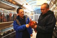 胡宏：蹲下身子沉下心 當好群眾貼心人